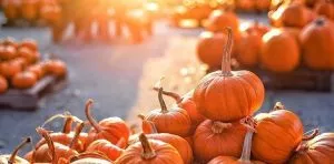 October 26: National Pumpkin Day