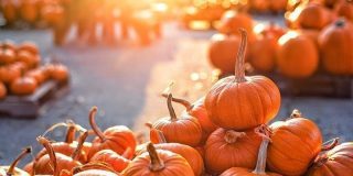 October 26: National Pumpkin Day