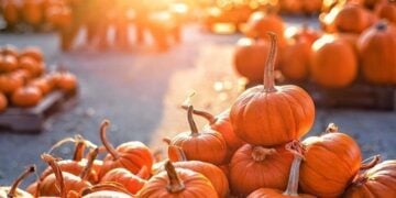 October 26: National Pumpkin Day