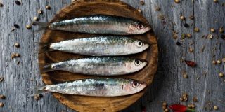 November 24: National Sardines Day