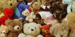 September 9: National Teddy Bear Day