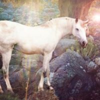 April 9: National Unicorn Day