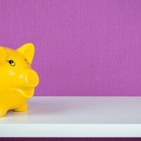 July 17: National Yellow Pig Day