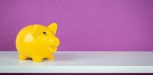 July 17: National Yellow Pig Day