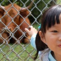 December 27: Visit The Zoo Day