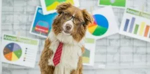 August 5: Work Like a Dog Day