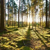 June 5: World Environment Day