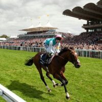 June 19: World Sauntering Day