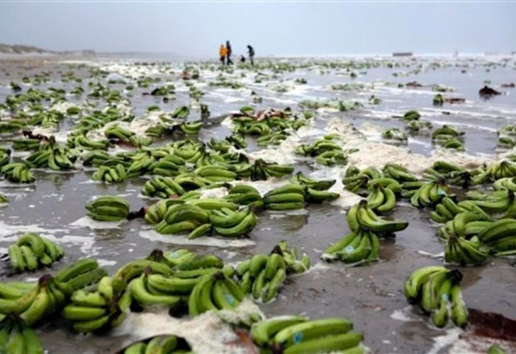 Thousands of bananas washed ashore