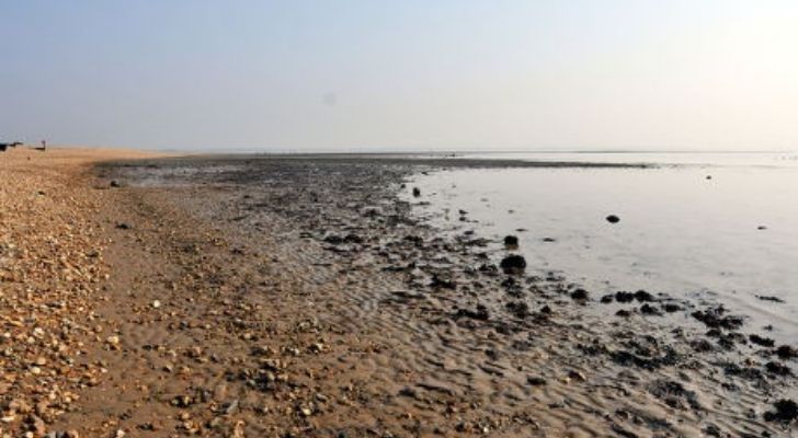 The muddy shore in Hampshire where a hundred bombs washed up
