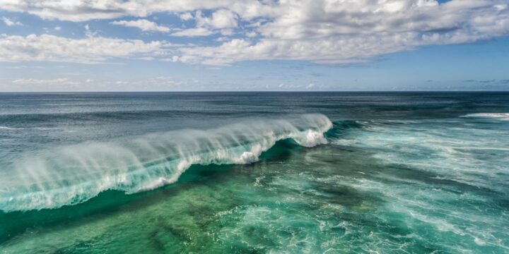 OTD in 1992: World Oceans Day was celebrated for the first time.