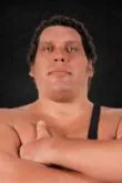 André the Giant