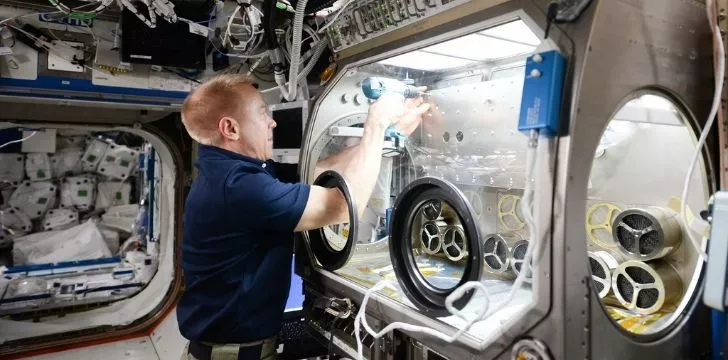 An astronaut conducting an experiment onboard the ISS