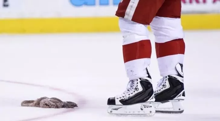 A piece of octopus on the ice rink