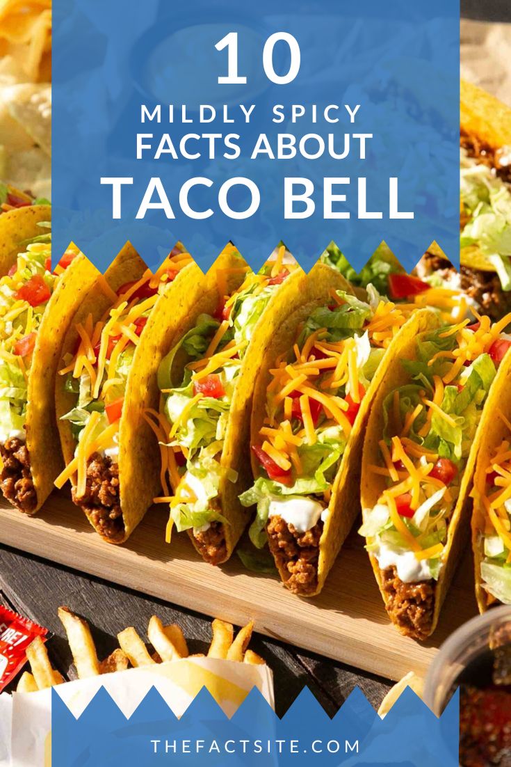 10 Mildly Spicy Facts About Taco Bell