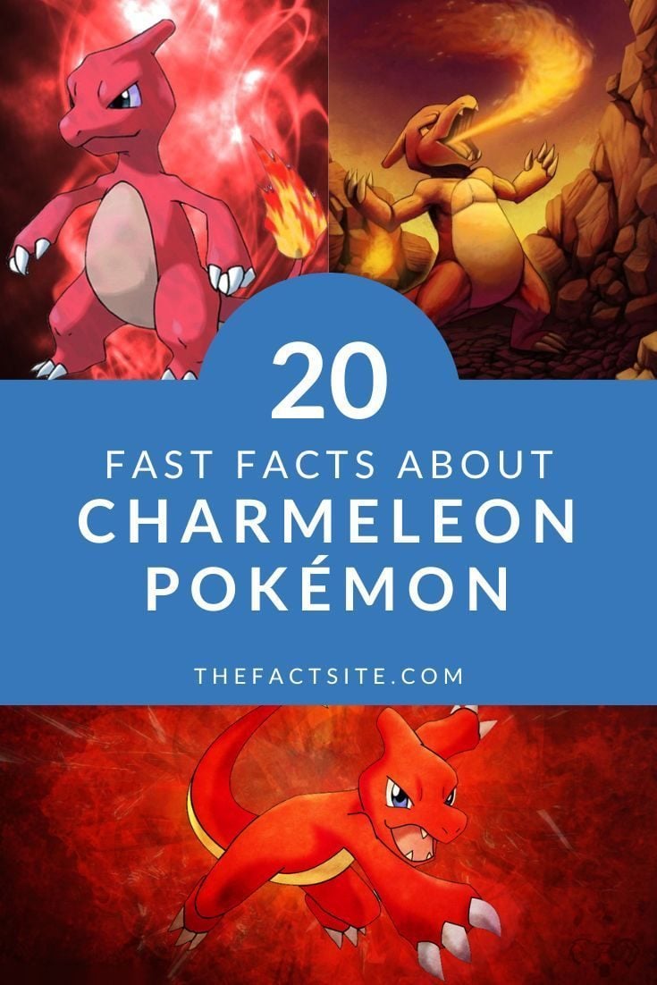 20 Fast Facts About Charmeleon Pokémon The Fact Site
