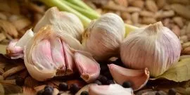 Pungent facts about garlic