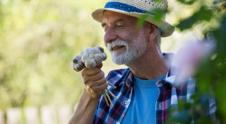 A farmer smelling a bunch of garlic