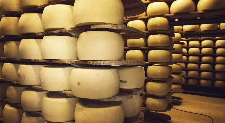 Stacks of parmesan at a cheese factory