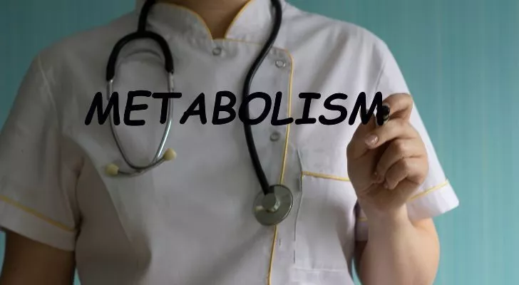 There are two metabolism processes
