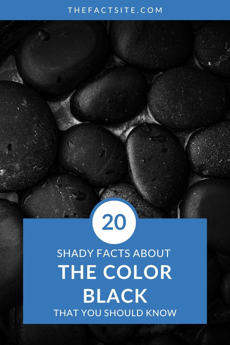 20 Shady Facts About The Color Black - The Fact Site