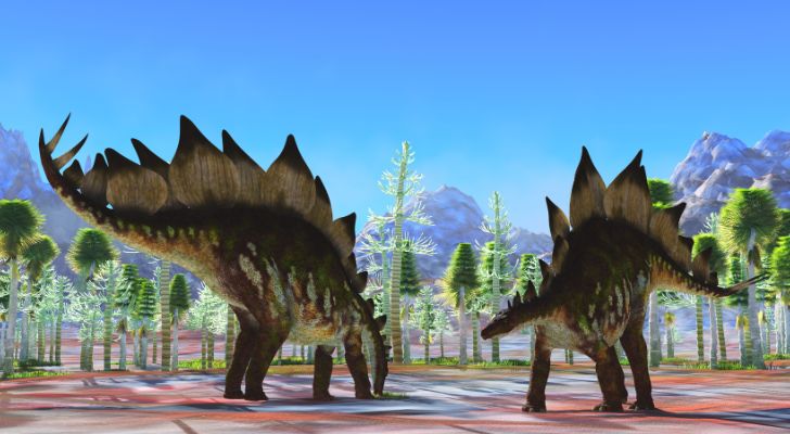 The stegosaurus dinosaur