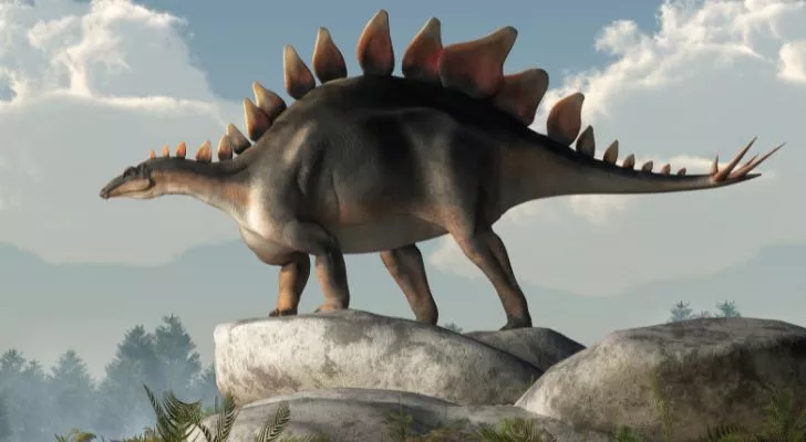 Scientists used to think this dinosaur's brain was in its butt