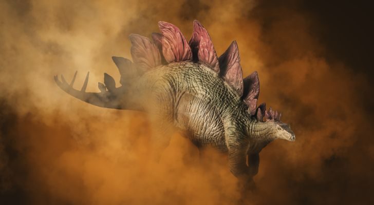 The stegosaurus dinosaur had a tiny brain