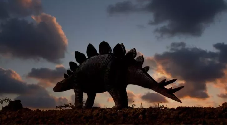 The stegosaurus dinosaur during sunset