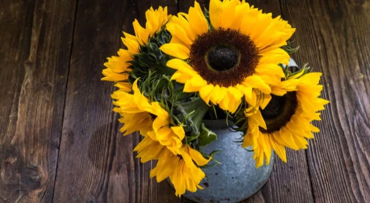 A bunch of sunflowers in a vase.