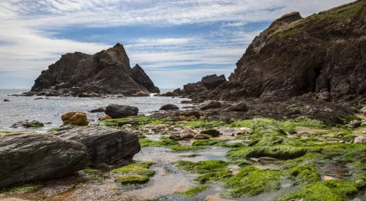 Devon Coastline në Angli