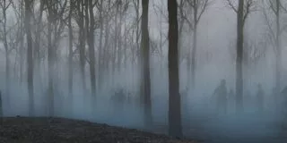 Are zombies biologically possible?
