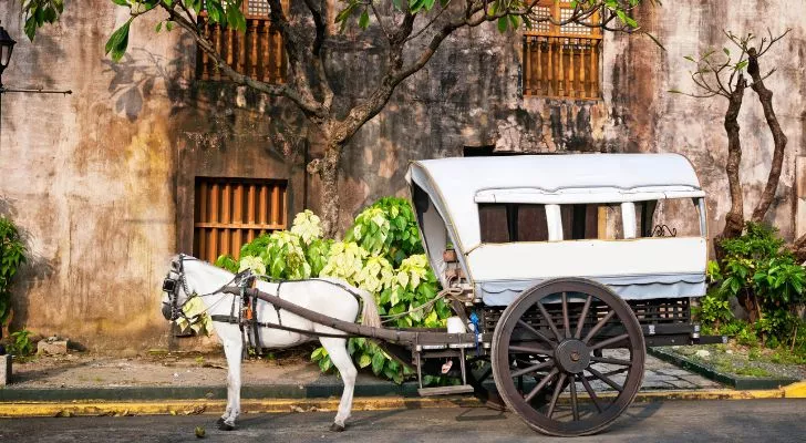 A horse and carriage in Manila