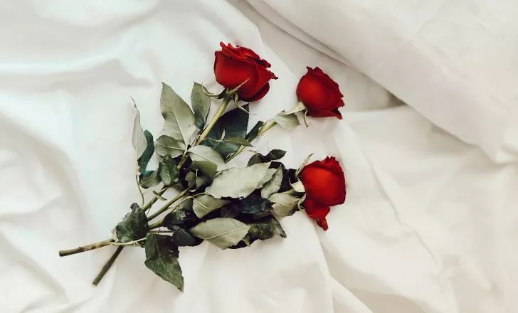Three red roses on a white sheet.