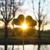Facts About Four Leaf Clovers