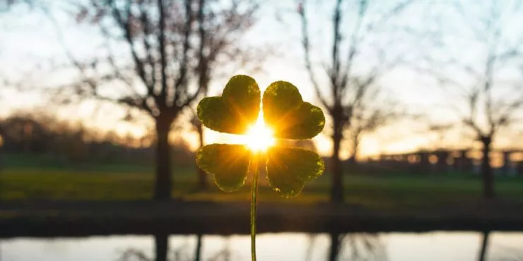 Lucky Facts About The Four-Leaf Clover