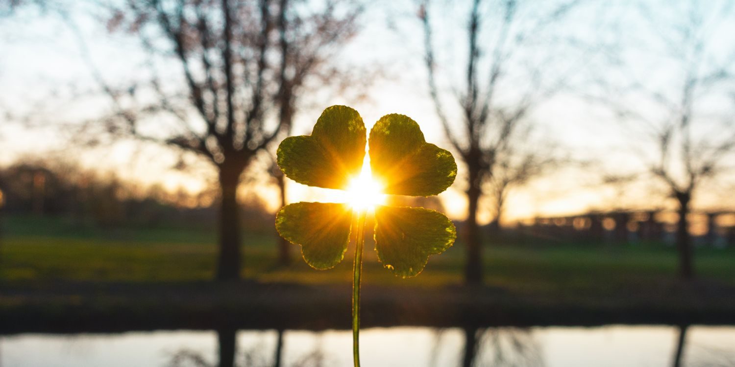 How to Find a Four-Leaf Clover - The New York Times