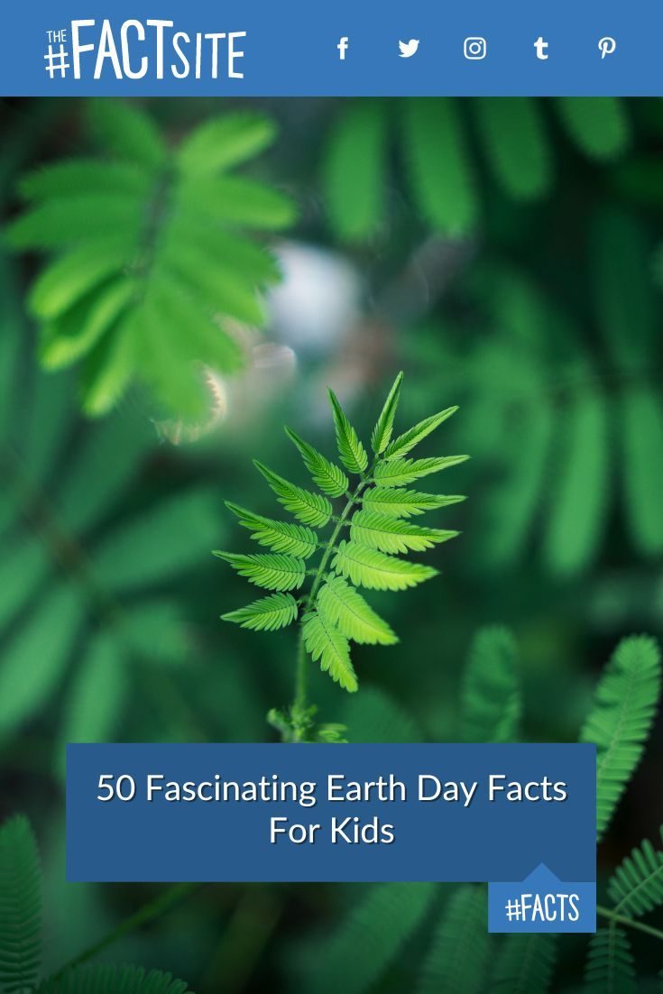 50 Fascinating Earth Day Facts For Kids - The Fact Site