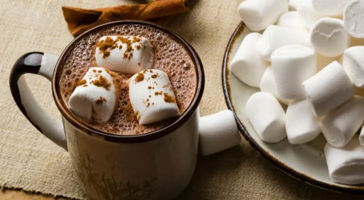 A mug of hot cocoa