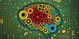 What Is a Polymath?