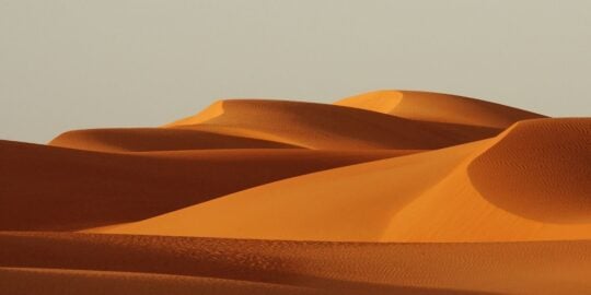 Who Lives in The Sahara Desert?