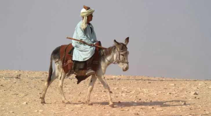 A man from the Sahara Desert riding a Donkey
