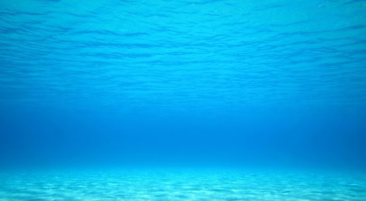 A view underwater