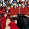 Does red make bulls angry?