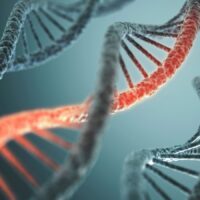 OTD in 1953: Francis Crick & James Watson's discovery of the double-helix structure of DNA was formally announced.