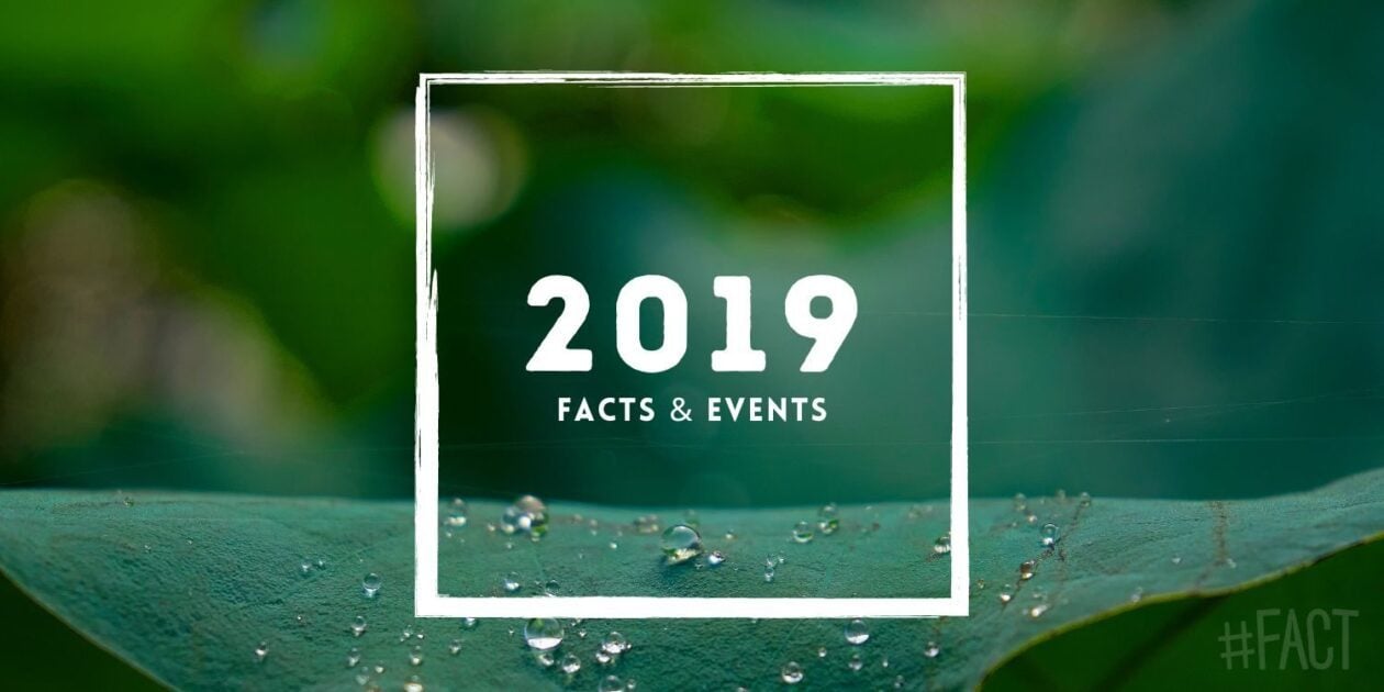 2019 FACTS EVENTS THAT HAPPENED IN THIS YEAR visual data 5