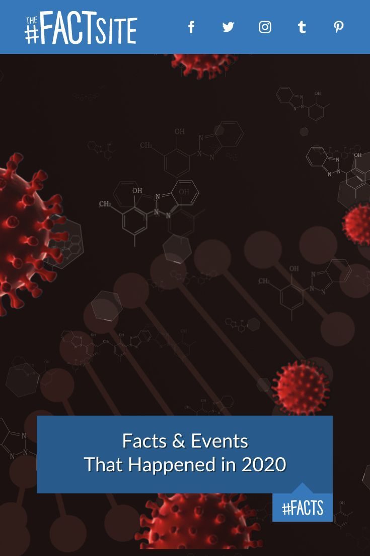 2020: Facts & Events That Happened in This Year - The Fact Site