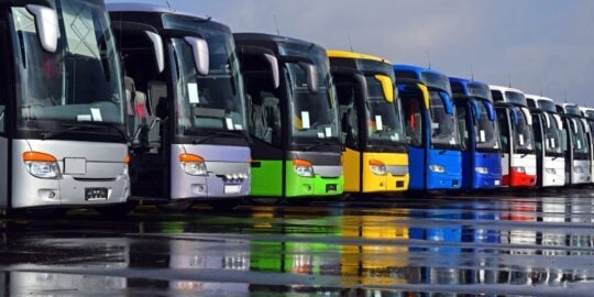 10 Bustling Facts About Buses