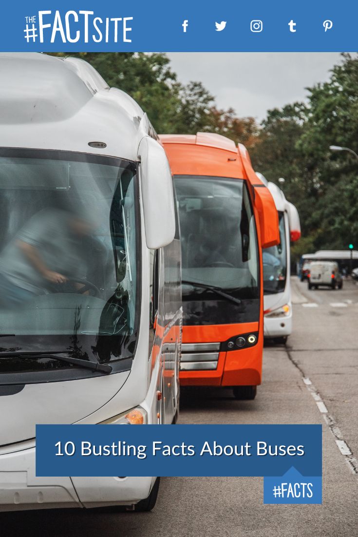 10-bustling-facts-about-buses-the-fact-site