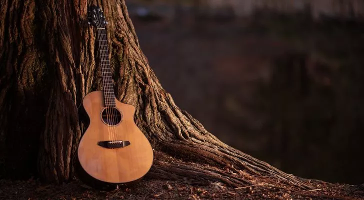 A wooden guitar leaning against a tree